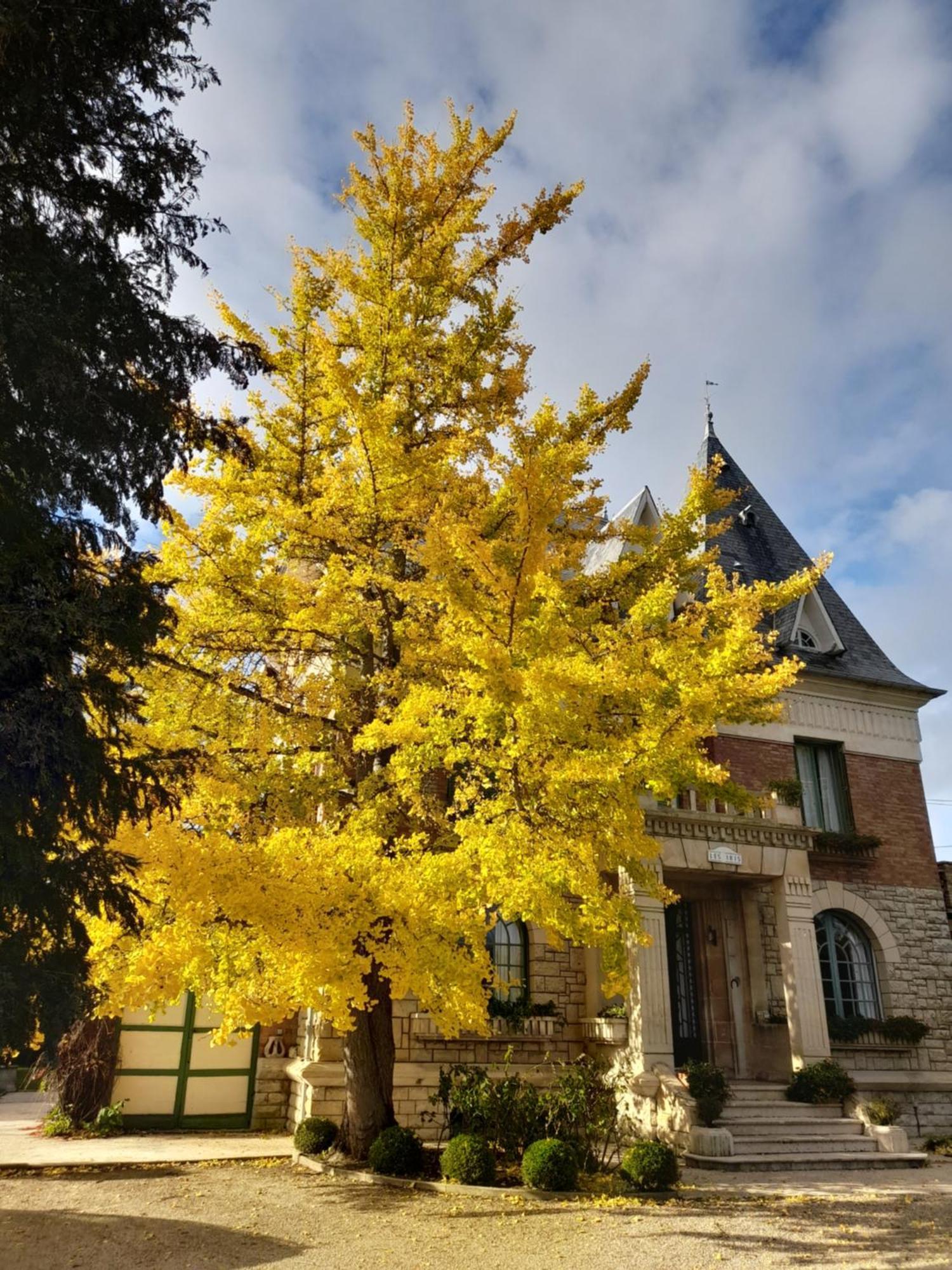 Villa Les Iris Saint-Felix  Exterior photo
